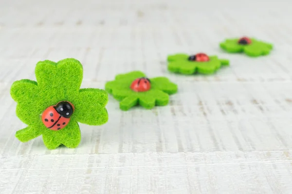 Four-leaf clover with lady bugs
