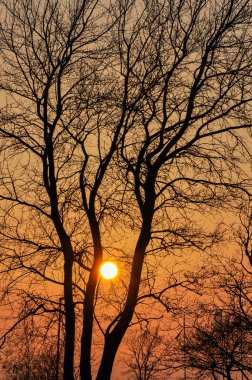 Sonbaharın güzel gün batımı