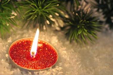Akşam köknar şube ile karla kırmızı yılbaşı mumu