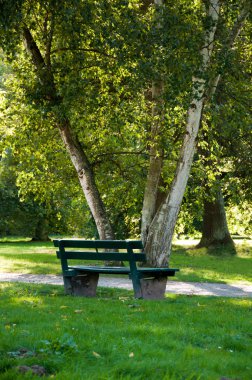 Parkta ahşap bir bank