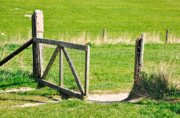 Open gate of a pasture