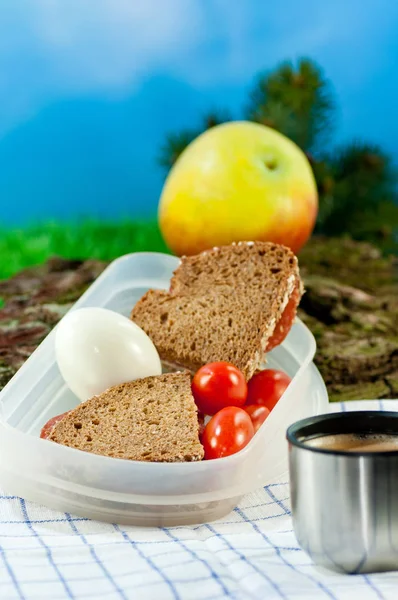 A Light meal during a rest at a hiking. There is some coffee, an apple, an hard-boiled egg, some tomatoes and a sandwich