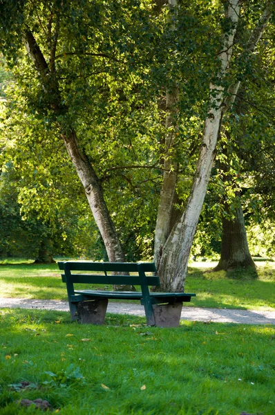 Parkta ahşap bir bank