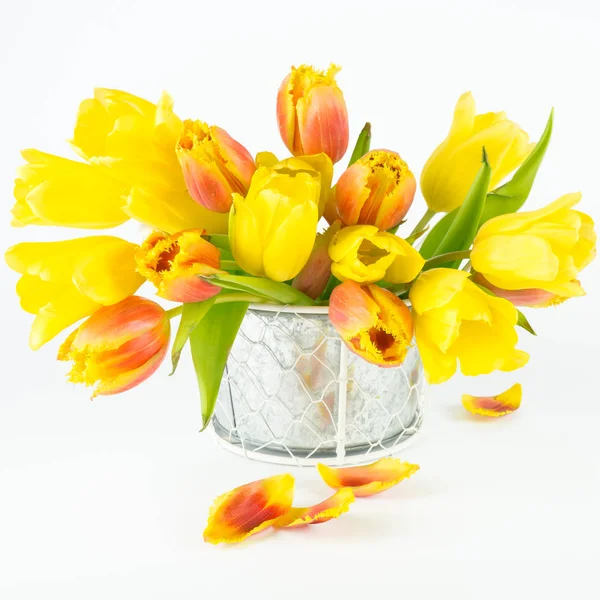 Yellow Tulip Flower Bouquet — Stock Photo, Image