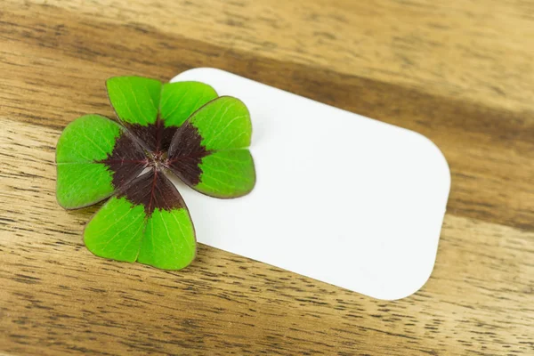 Trèfle Quatre Feuilles Avec Étiquette Blanche Vierge — Photo