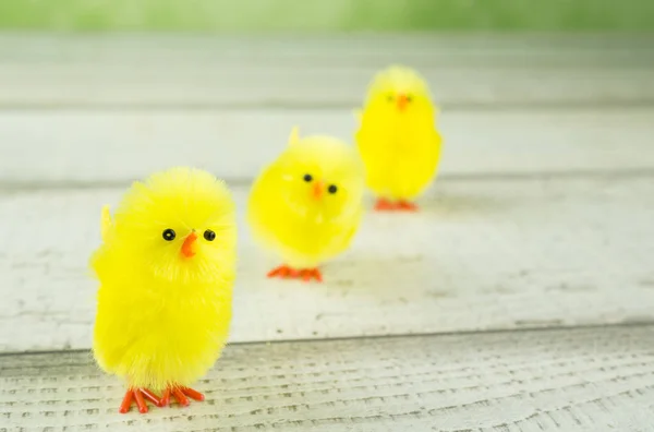 Ostern Viele Küken Hintereinander — Stockfoto