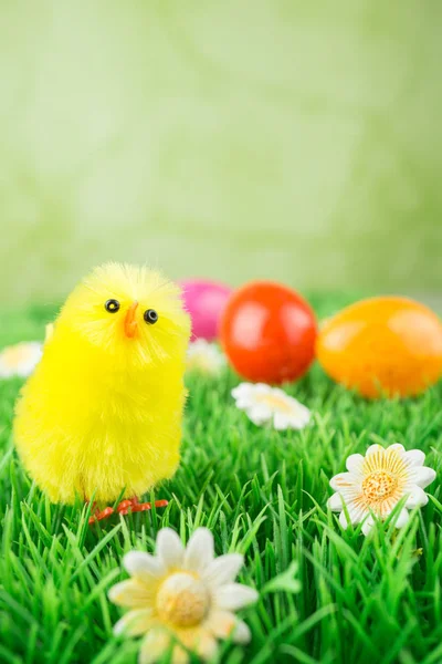 Ostern Ein Küken Auf Einer Wiese Mit Blumen Und Bunten — Stockfoto