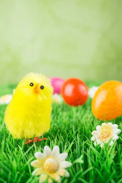 Pascua Polluelo Prado Con Flores Coloridos Huevos Pascua — Foto de Stock