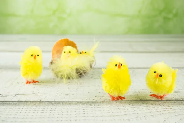 Ostern Und Viele Küken — Stockfoto