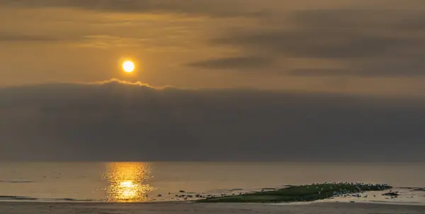 Sonnenuntergang Der Nordsee Mit Vielen Möwen — Stockfoto