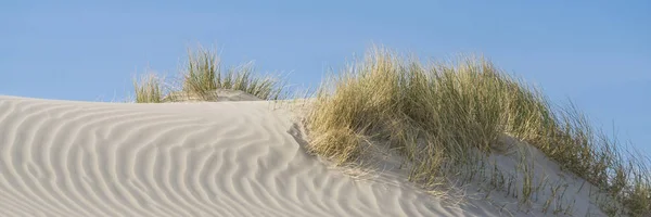 Dunes Beach — Stock Photo, Image