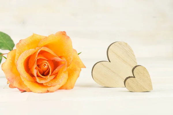 Narancs Színű Rózsa Virág Két Szív — Stock Fotó