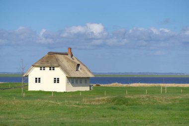Traditional house at wadden sea clipart