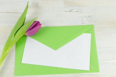 Yeşil zarf ve boş laber mor lale