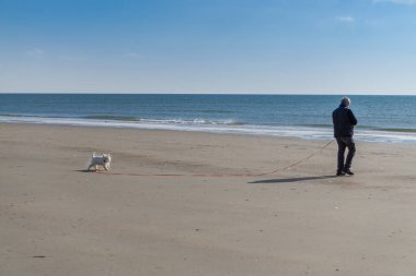 İnsan küçük beyaz köpekle sahilde yürüyor.