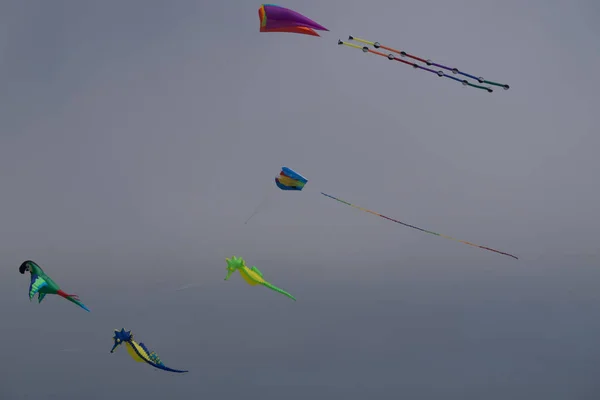 Cerfs Volants Volants Par Une Journée Brumeuse — Photo