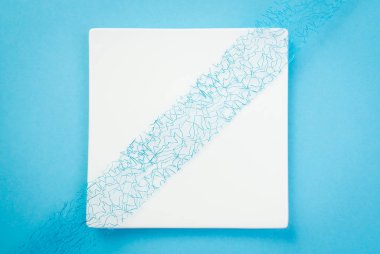Mavi dekorasyon ile beyaz plaka