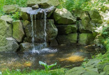 Küçük şelale gölet