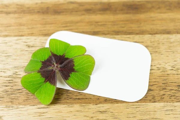 Four leaf clover with blank label on wooden table