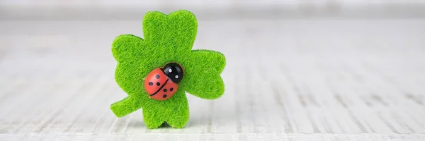 Four leaf clover with lady bug and copy space