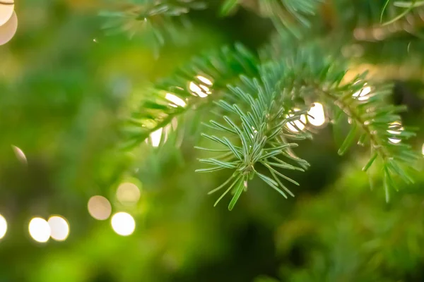 Parlak Işıklar Seçilen Odak Ile Bir Noel Ağacı Yakın Çekim — Stok fotoğraf