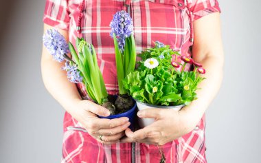 Kadın elinde bahar çiçekleri ile iki tencere tutar