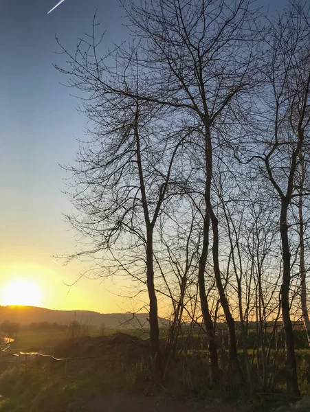 Beautiful landscape in Germany in spring evening with setting sun