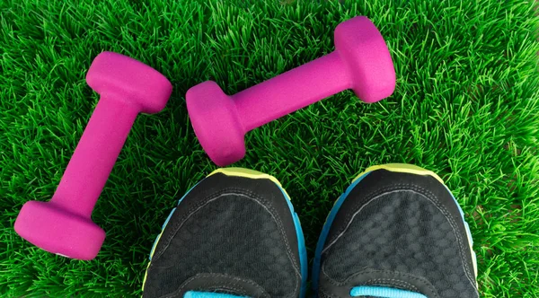 Twee Roze Dumbbells Schoen Tips Van Sneakers Het Gras — Stockfoto