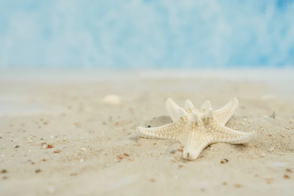 Starfish Sand Beach — Stock Photo, Image