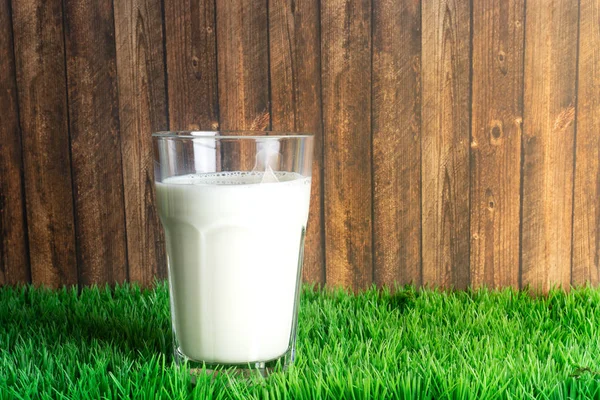 Glass Fresh Milk Meadow Wooden Background Copy Space — Stock Photo, Image