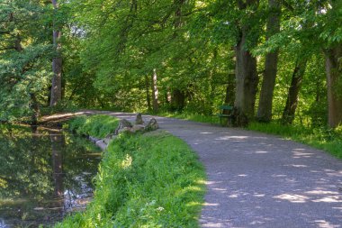 Parkın içinden geçen patika bir göletin kenarında, ahşap bir bankta