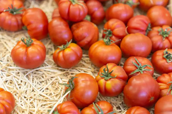 빨대에 신선한 토마토 — 스톡 사진