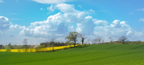 Schöne Landschaft Der Deutschen Ostseeküste Mit Grünen Wiesen Bäumen Und — Stockfoto