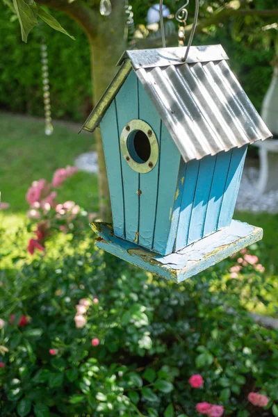 Niebieski Birdhouse Drzewie — Zdjęcie stockowe