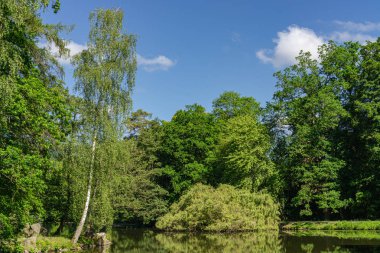 Su yansımaları ile güneş ışığında parkta küçük göl