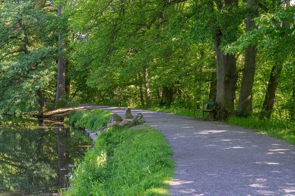 Weg Door Een Park Bij Een Vijver Met Een Houten — Stockfoto