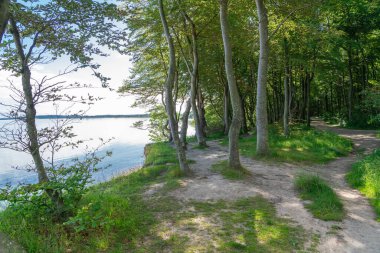 Weissenhaeuser Strand, Almanya yakınlarındaki uçurumdan bak