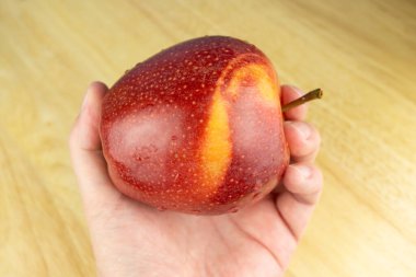 Elinde taze kırmızı elma meyvesi, ahşap masa arkaplanı.