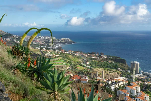 Vackert Landskap Madeira Portugal — Stockfoto
