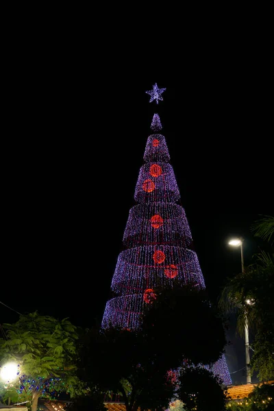 Luces Navidad Por Noche Funchal Madeira Portugal —  Fotos de Stock