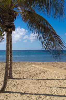 İspanya 'nın Lanzarote adasındaki Arrecife plajı