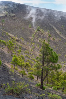 La Palma Kanarya Adası 'ndaki San Antonio yanardağının manzarası.