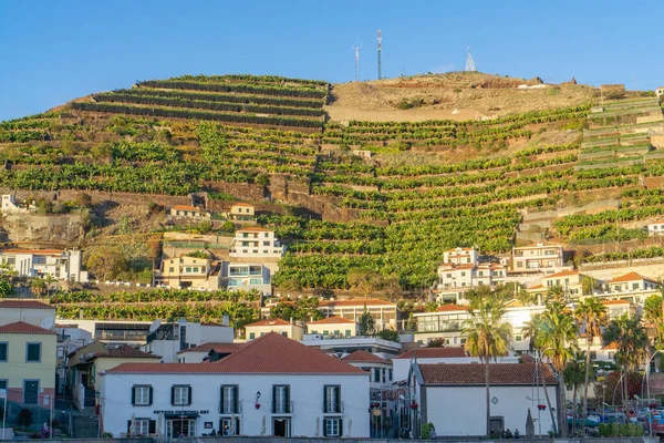 Fiskebyn Camara Lobos Madeira Portugal — Stockfoto