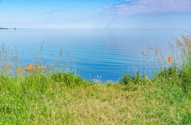 Sehlendorf, Almanya 'da Baltık Denizi manzarası