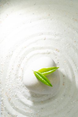 Beyaz kumdaki yeşil yapraklı beyaz taş, dairelerden geçiyor, dikey ve kopyala