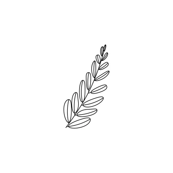 Ilustração vetorial. folha de planta ou flor ou ramo isolado sobre branco. Estilo de linha . —  Vetores de Stock