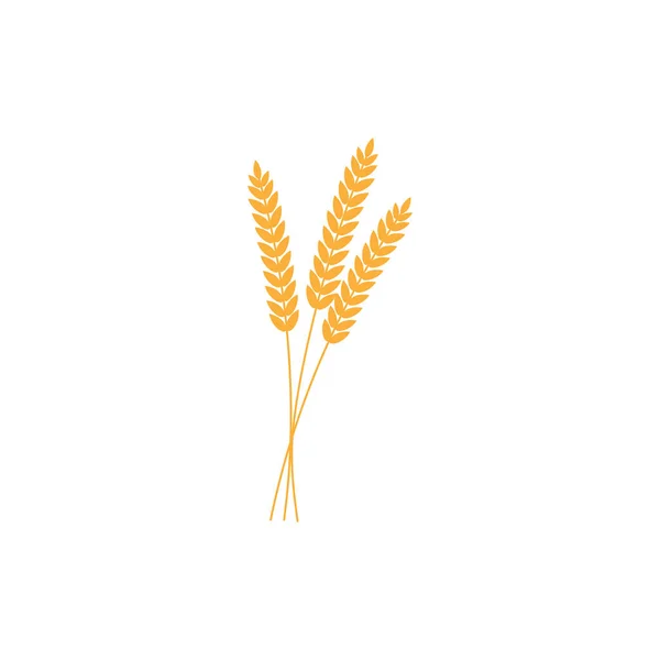 黑麦或大麦耳朵的向量例证与全麦 黄色小麦 黑麦或大麦作物收获标志或图标查出在白色背景 — 图库矢量图片