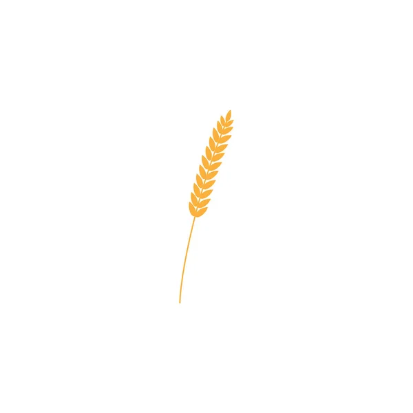 ベクトル全体の穀物 黄色の小麦 ライ麦や大麦作物収穫シンボルや白い背景で隔離のアイコンと小麦 ライ麦や大麦の耳のイラスト — ストックベクタ