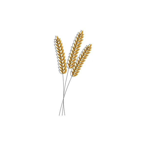 ライ麦や大麦耳全体の穀物 ライ麦や大麦の作物収穫シンボルや白い背景で隔離のアイコンのベクトル イラスト — ストックベクタ
