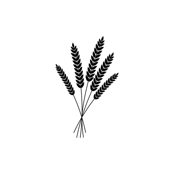 全粒穀物 小麦の黒いシルエット ライ麦または大麦作物収穫のシンボルまたは白い背景に隔離されたアイコンを持つ小麦 ライ麦または大麦の耳のベクトルイラスト — ストックベクタ